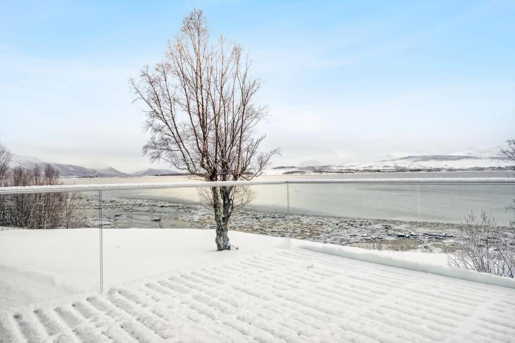 Hus Med Egen Strandlinje Tromso Bagian luar foto